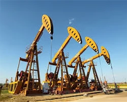 Oil pumps